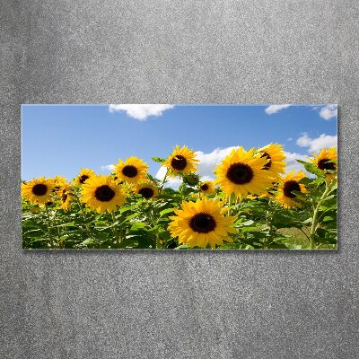Quadro vetro acrilico Girasoli