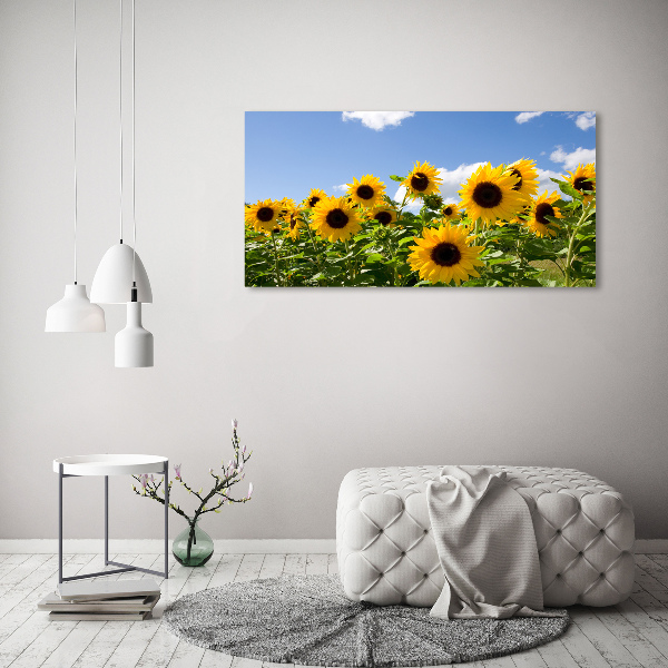 Quadro vetro acrilico Girasoli