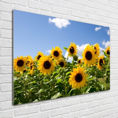 Quadro vetro acrilico Girasoli