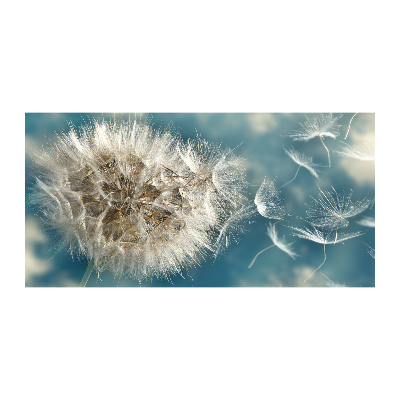 Quadro in vetro acrilico Denti di leone