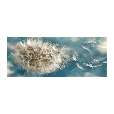 Quadro in vetro acrilico Denti di leone