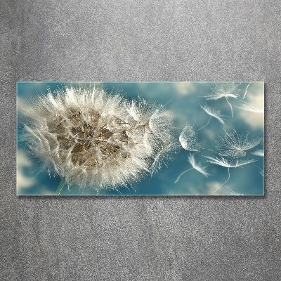 Quadro in vetro acrilico Denti di leone