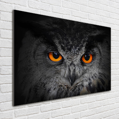 Quadro in vetro acrilico Occhi di gufo diabolici