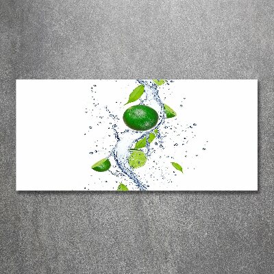 Quadro in vetro acrilico Calce e acqua