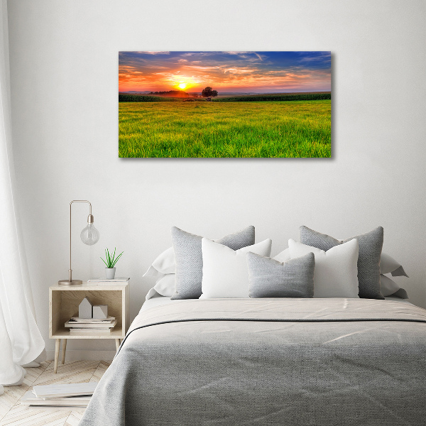 Quadro su vetro acrilico Prato del tramonto