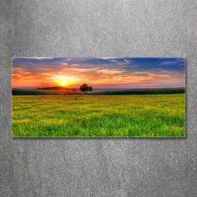 Quadro su vetro acrilico Prato del tramonto