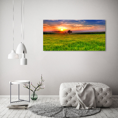 Quadro su vetro acrilico Prato del tramonto