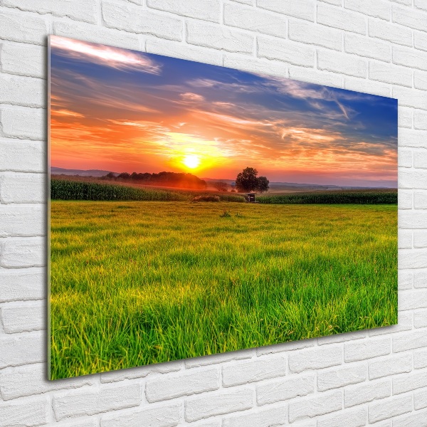 Quadro su vetro acrilico Prato del tramonto