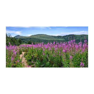 Quadro in vetro acrilico Colline verdi