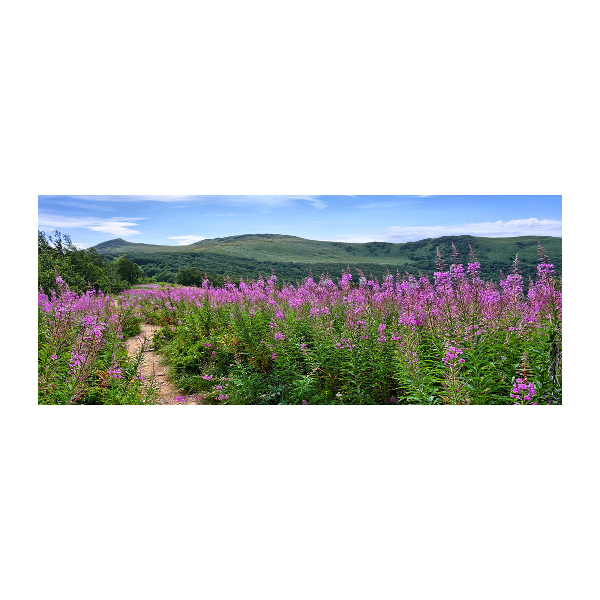 Quadro in vetro acrilico Colline verdi