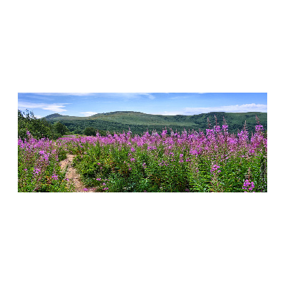 Quadro in vetro acrilico Colline verdi