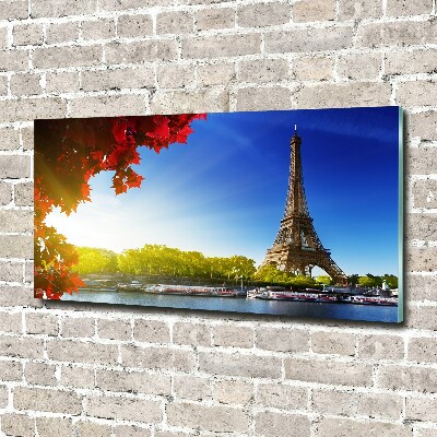 Quadro vetro acrilico Torre Eiffel Parigi