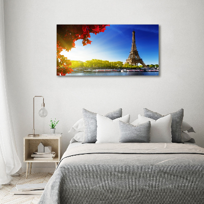 Quadro vetro acrilico Torre Eiffel Parigi