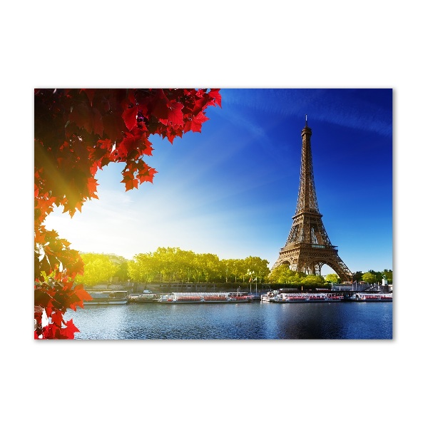 Quadro vetro acrilico Torre Eiffel Parigi