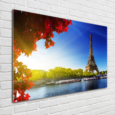 Quadro vetro acrilico Torre Eiffel Parigi