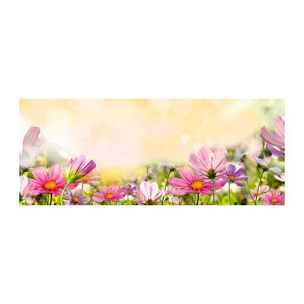 Quadro su vetro acrilico Papaveri