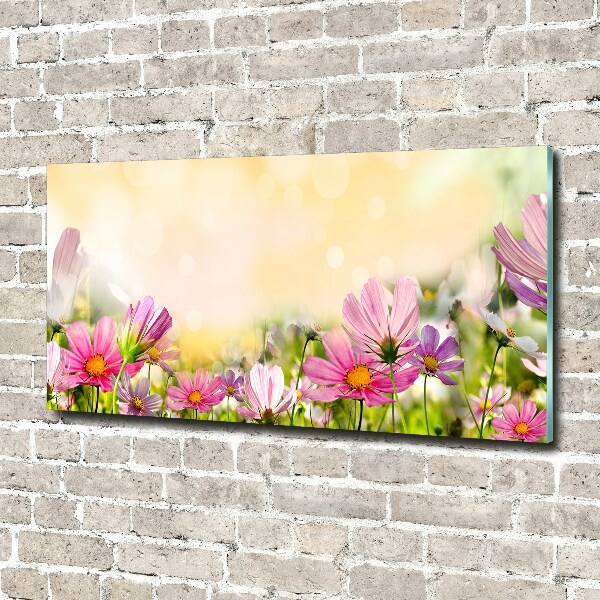 Quadro su vetro acrilico Papaveri