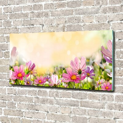 Quadro su vetro acrilico Papaveri