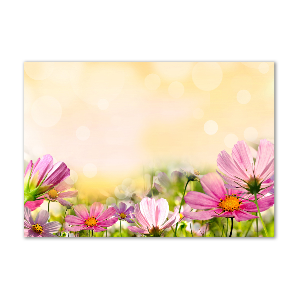 Quadro su vetro acrilico Papaveri