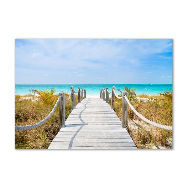 Quadro vetro acrilico Sentiero in riva al mare