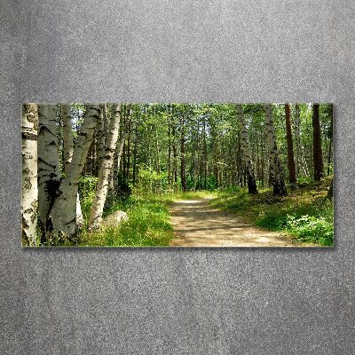 Quadro su vetro acrilico Sentiero nella foresta