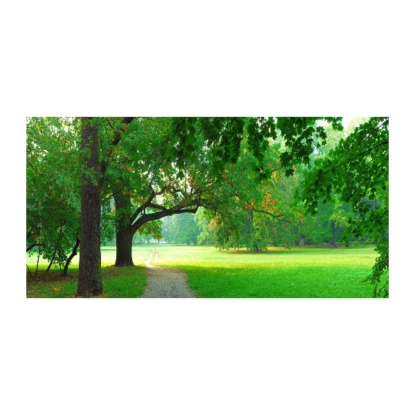 Quadro su vetro acrilico Parco in autunno