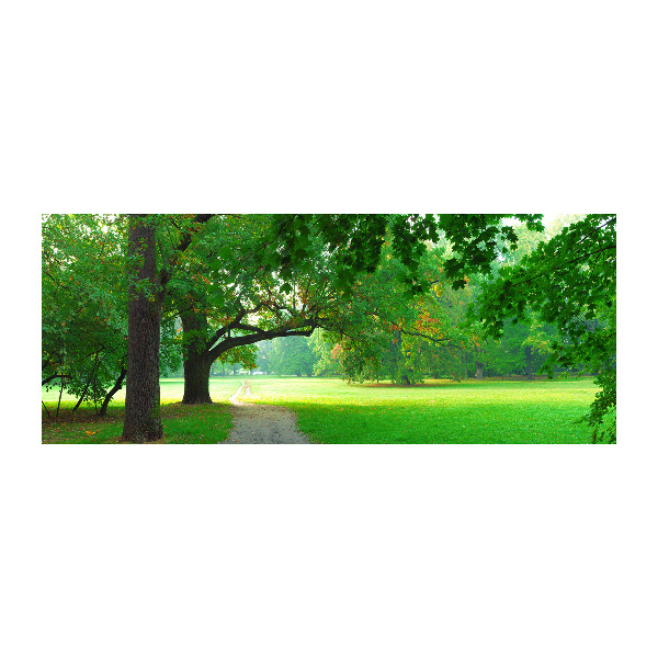 Quadro su vetro acrilico Parco in autunno