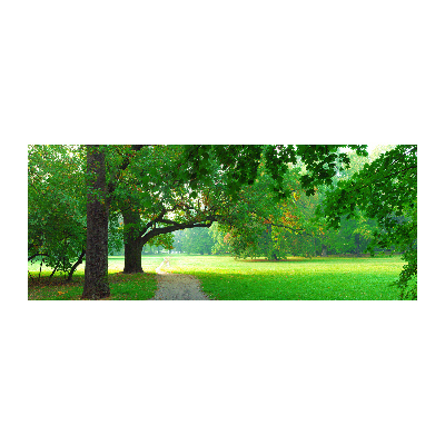 Quadro su vetro acrilico Parco in autunno