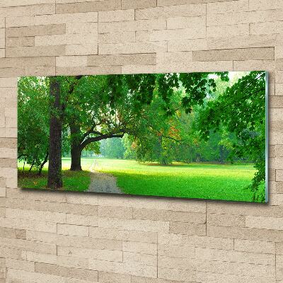 Quadro su vetro acrilico Parco in autunno