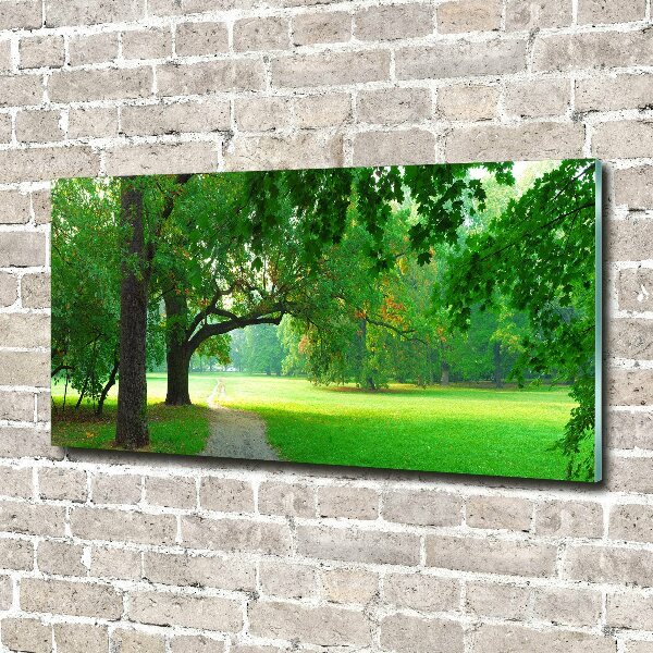 Quadro su vetro acrilico Parco in autunno