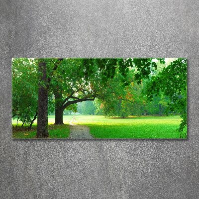 Quadro su vetro acrilico Parco in autunno