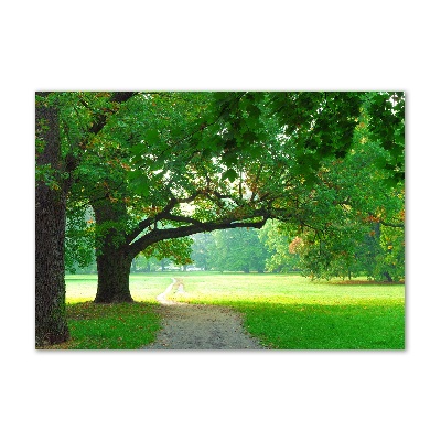 Quadro su vetro acrilico Parco in autunno