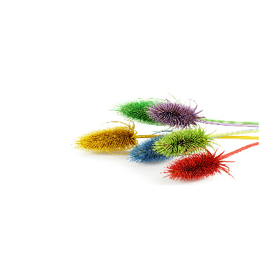 Quadro vetro acrilico Cardo