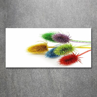 Quadro vetro acrilico Cardo