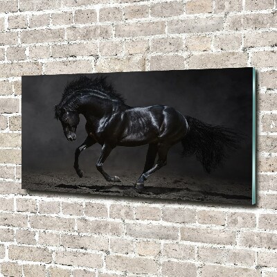Quadro in vetro acrilico Cavallo oscuro