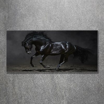 Quadro in vetro acrilico Cavallo oscuro