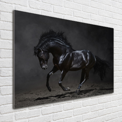 Quadro in vetro acrilico Cavallo oscuro