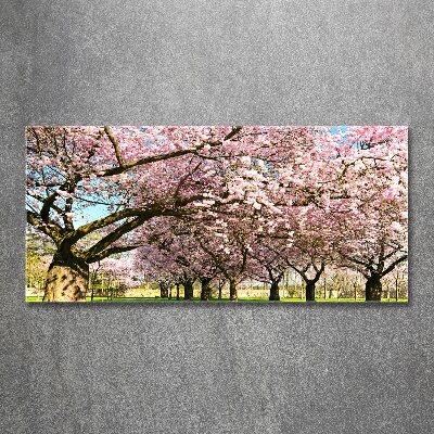 Quadro vetro acrilico Alberi di ciliegio