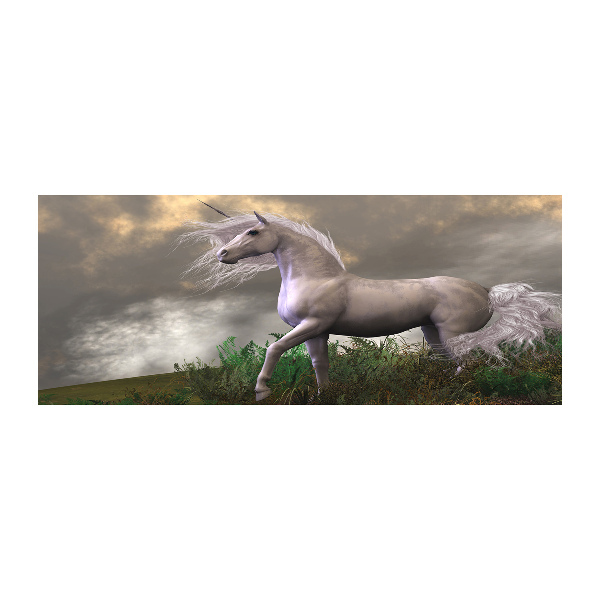 Quadro vetro acrilico Unicorno grigio