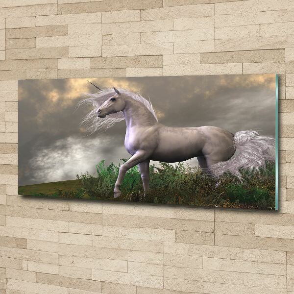 Quadro vetro acrilico Unicorno grigio