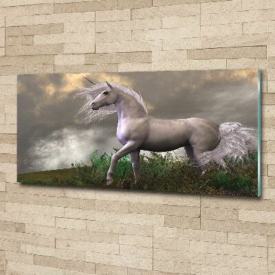 Quadro vetro acrilico Unicorno grigio