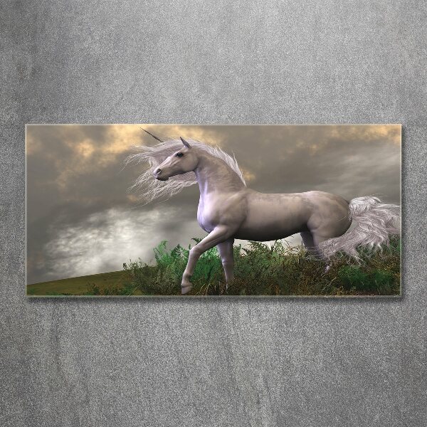 Quadro vetro acrilico Unicorno grigio