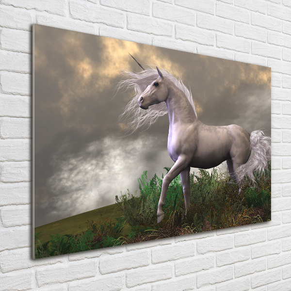 Quadro vetro acrilico Unicorno grigio