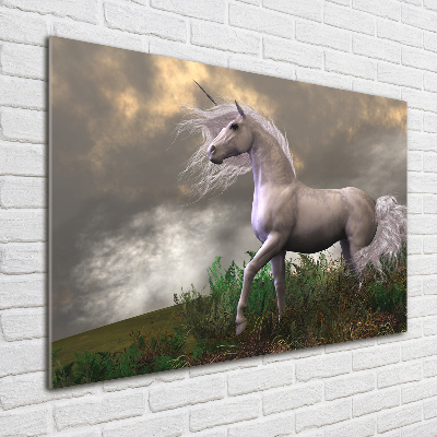 Quadro vetro acrilico Unicorno grigio