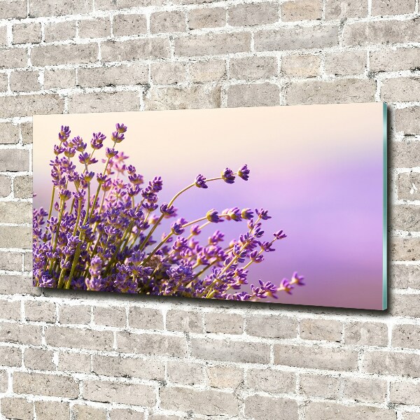 Quadro su vetro acrilico Lavanda