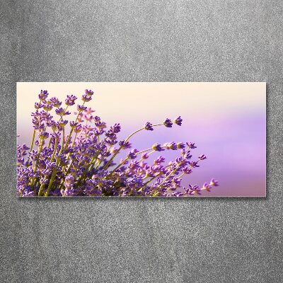 Quadro su vetro acrilico Lavanda