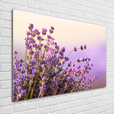 Quadro su vetro acrilico Lavanda