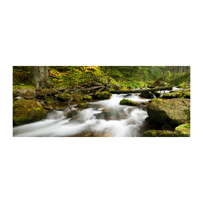 Quadro vetro acrilico Torrente Olczyski