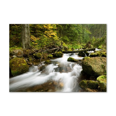 Quadro vetro acrilico Torrente Olczyski