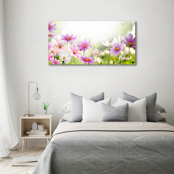 Quadro in vetro acrilico Fiori nel prato
